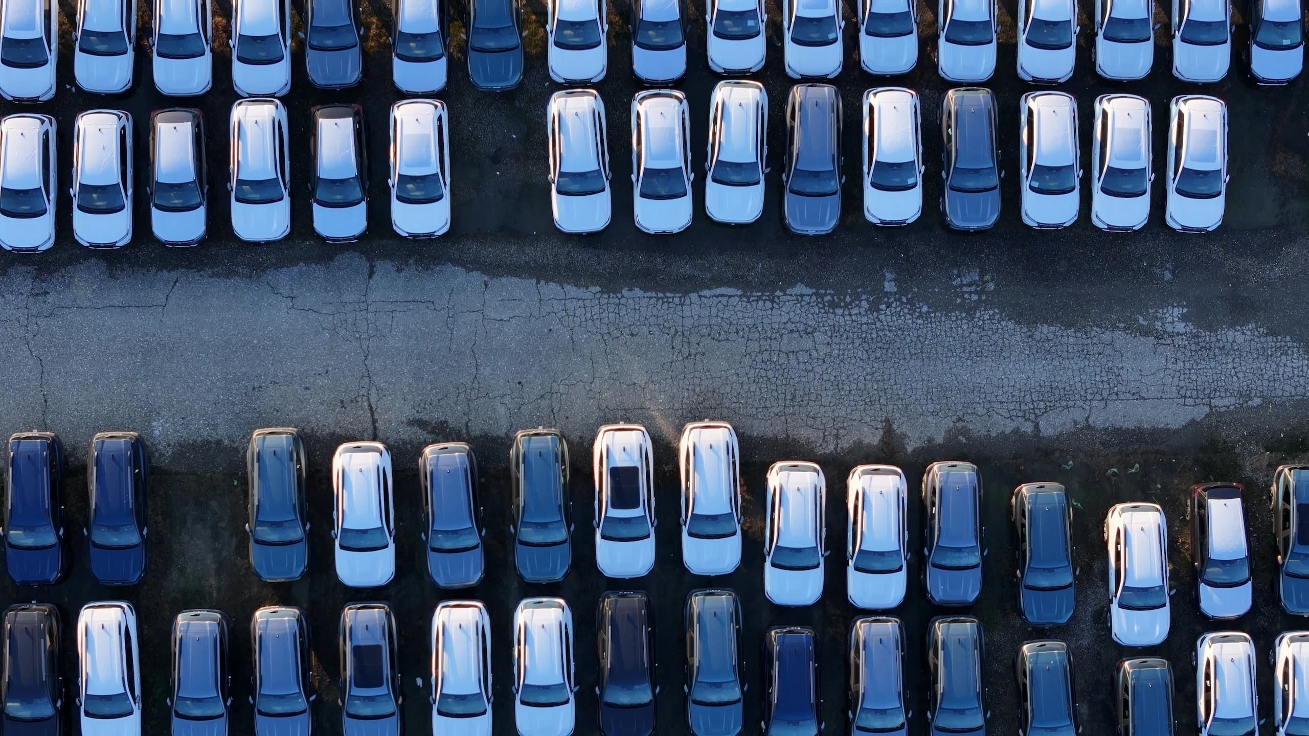 gestion de flottes automobiles